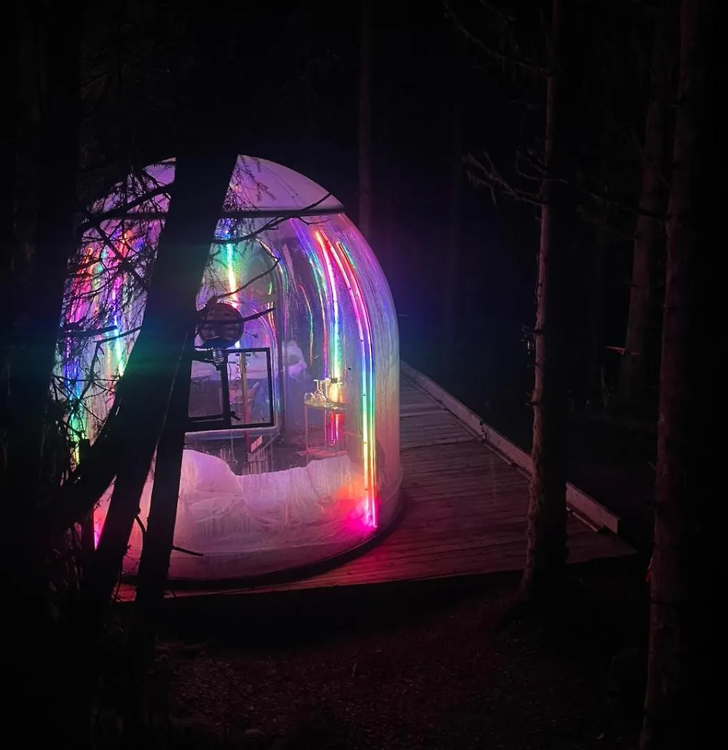 Apartmán Magical Forest Haven Dome Bergen 0*,  Norsko
