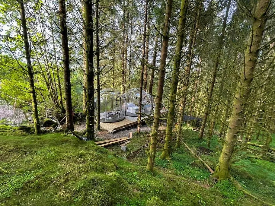 Apartmán Magical Forest Haven Dome Bergen 0*,  Norsko