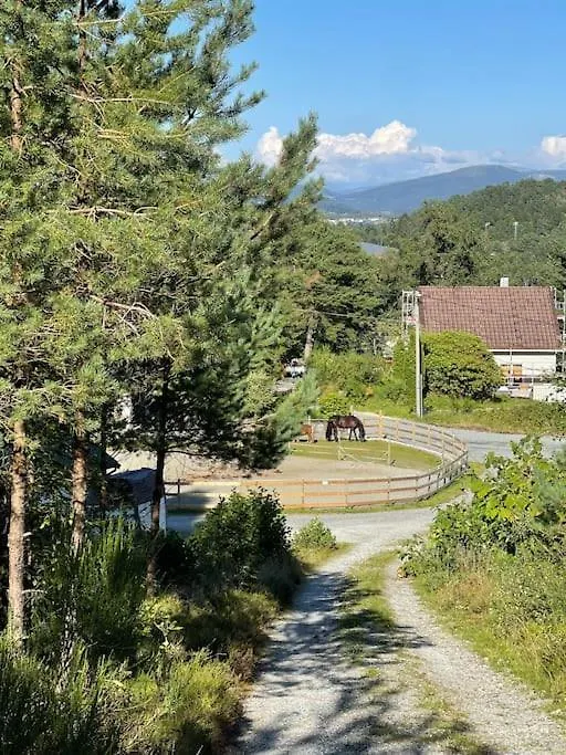 Apartmán Magical Forest Haven Dome Bergen