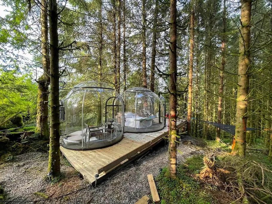 kontakty Magical Forest Haven Dome
