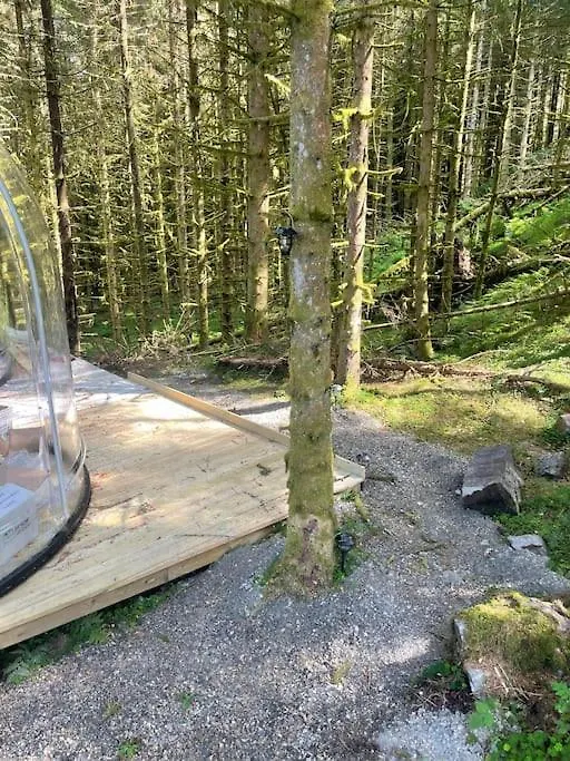 Apartmán Magical Forest Haven Dome Bergen